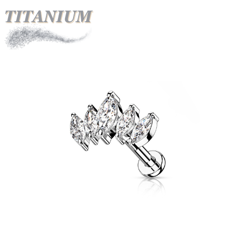 Titanium Threadless Labret Combo w/ 5 Marquise CZ Set Curve Design