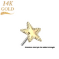 PNCP NP 14KT STAR