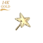 14K Gold Threadless Star with Flat Beaded Edge (Top Only)