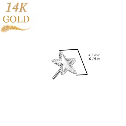 14K Gold Threadless Star with Flat Beaded Edge (Top Only)