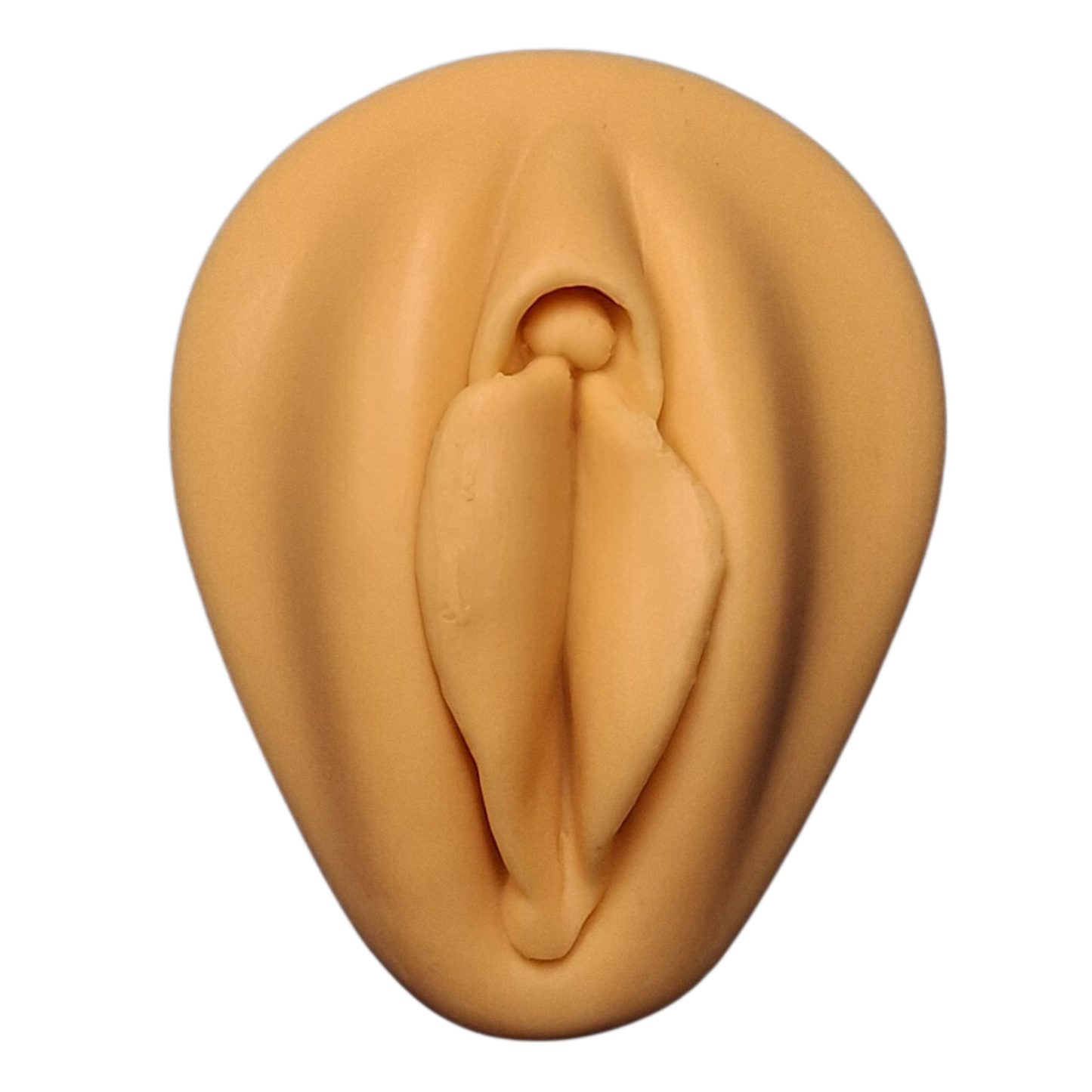 Silicone Practice/Display Parts on Stand