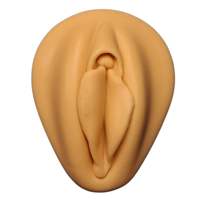 Silicone Practice/Display Parts on Stand