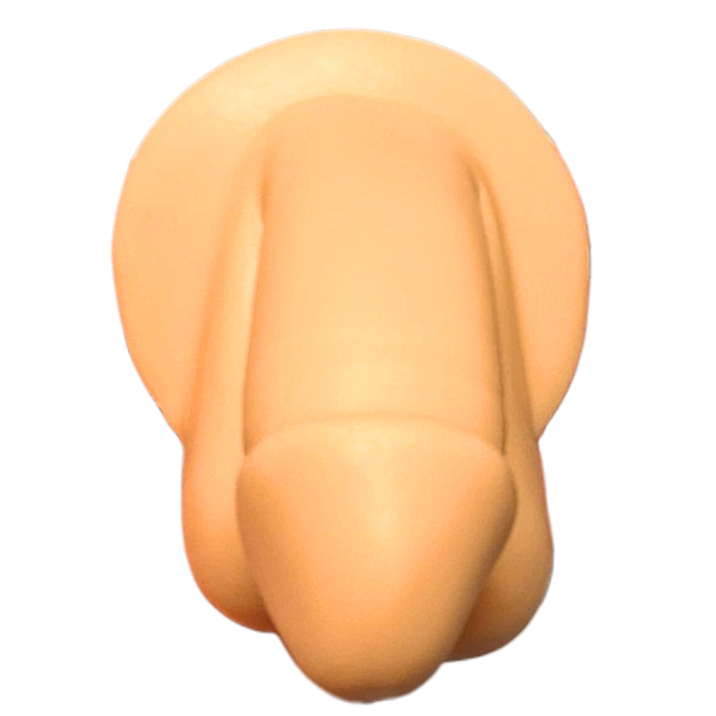 Silicone Practice/Display Parts on Stand