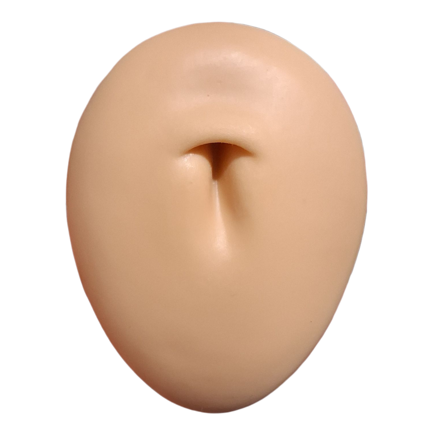 Silicone Practice/Display Parts on Stand