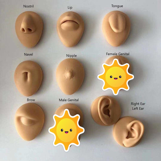 Silicone Practice/Display Parts on Stand