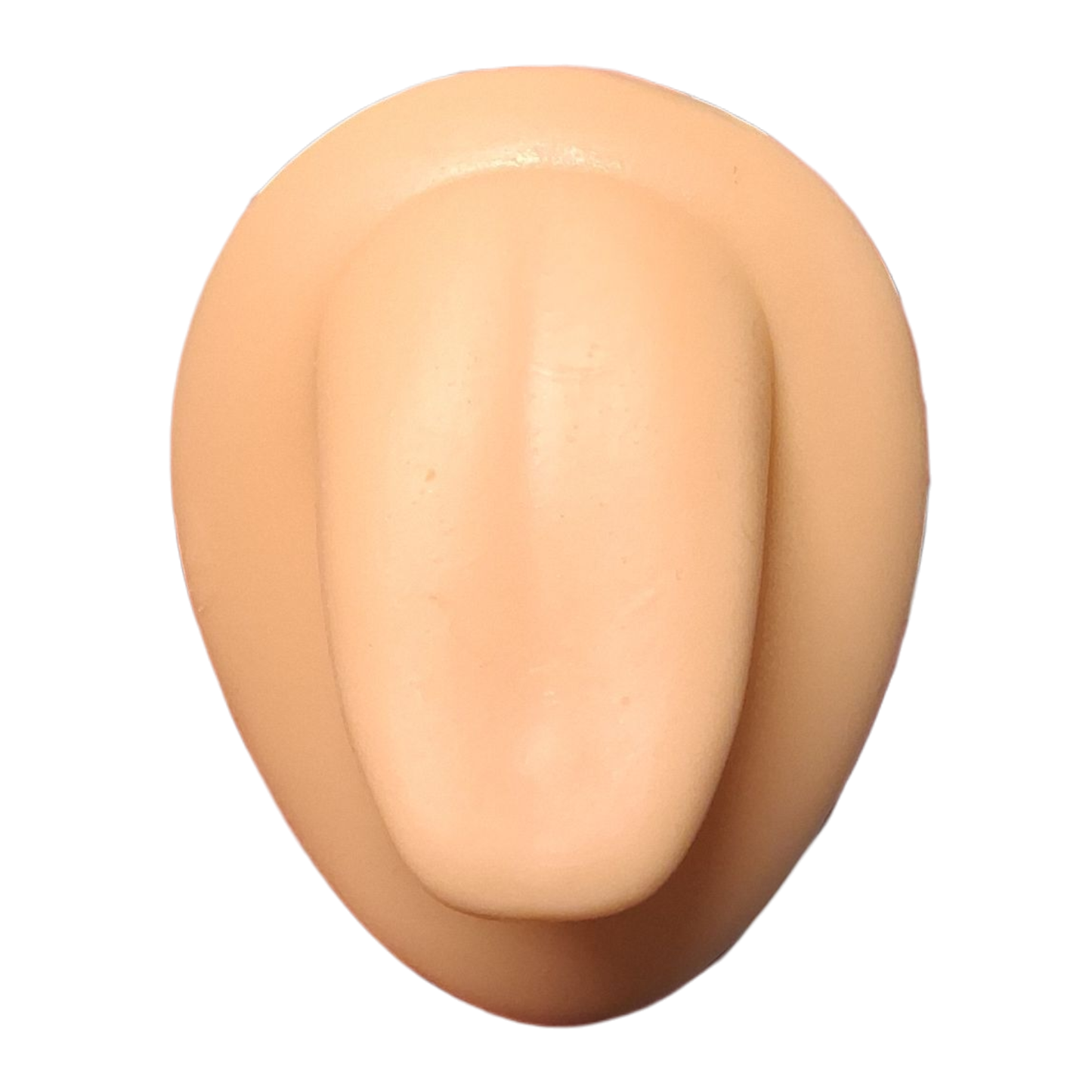 Silicone Practice/Display Parts on Stand