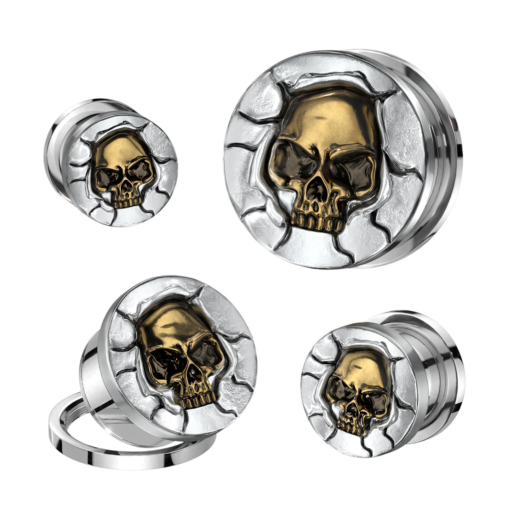 Surgical Steel/Brass Plug, Bronze Skull Screw Fit (CLEARANCE)