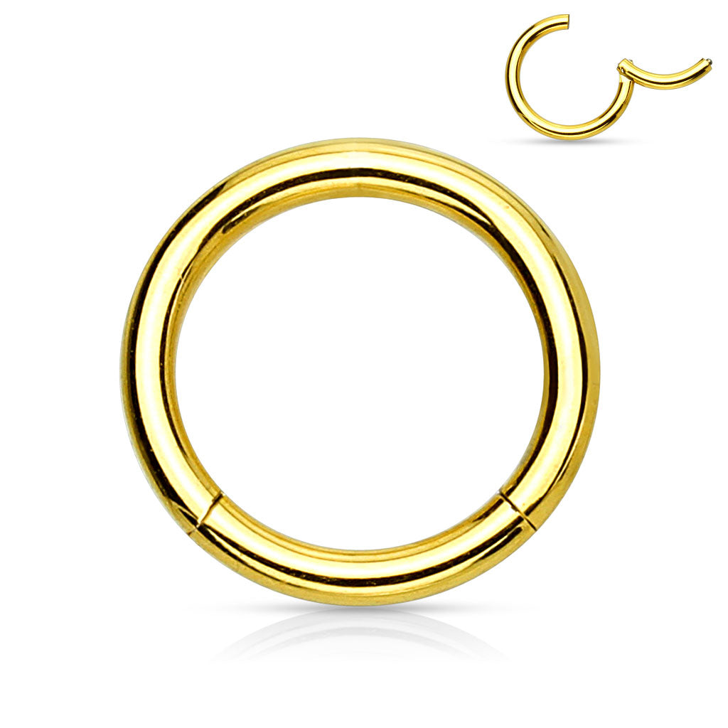 Surgical Steel Hinged Rings 14G-4G -Coloured