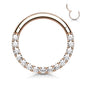 Surgical Steel Hinged Ring with CNC Set CZ Lined Paved Front