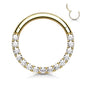 Surgical Steel Hinged Ring with CNC Set CZ Lined Paved Front