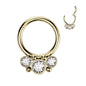 Surgical Steel Hinged Front Facing  Bezel CZ Ring w/ Micro Balls