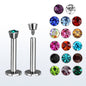 Surgical Steel Internally Threaded Labret w/ Martini Bezel Set Gem - CLEARANCE