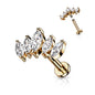 Surgical Steel/Brass Internally Threaded Labret  w/ 5 Marquise CZ Set Curve Design (CLEARANCE)