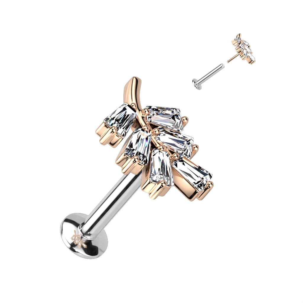 Surgical Steel/Brass Threadless CZ Leaf UFO Labret Combo (CLEARANCE)