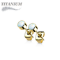 Titanium Opal Bezel Set CZ Earrings (Titanium Backs)