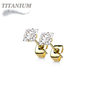 Titanium Earrings w/ Square Prong Set CZ (Titanium Backs)