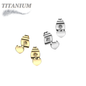 Titanium Heart Top Earrings (Titanium Backs)