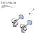 Titanium CZ Press Cut Martini Set CZ Earrings (Steel Backs)
