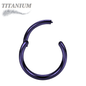 Titanium Hinged Rings 20G and 18G - Coloured