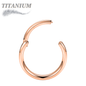 Titanium Hinged Rings 16G and 14G - Coloured