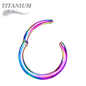 Titanium Hinged Rings 20G and 18G - Coloured