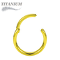 Titanium Hinged Rings 16G and 14G - Coloured