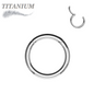 Titanium Hinged Rings 20G - 10G - Silver Only