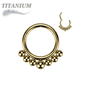 Titanium Graduated Ball Lined Hinged Ring