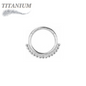Titanium Hinged Ball Lined Ring