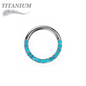 Titanium Hinged Ring with CNC Set CZ/Pearl Lined Paved Front