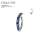 Titanium Hinged CZ Band Ring in 16G for Brow & Rook