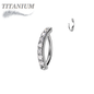 Titanium Hinged CZ Band Ring in 16G for Brow & Rook