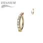 Titanium Hinged CZ Band Ring in 16G for Brow & Rook