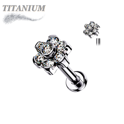 Pre-Sterilized Titanium 16G Labret 22pc Bundle for Ear Cartilage