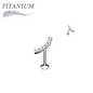 Titanium Internally Threaded Labret w/ Currved CZ Lined Top