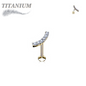 Titanium Internally Threaded Labret w/ Currved CZ Lined Top
