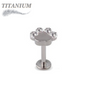 Titanium Internally Threaded CZ Set Paw Labret