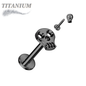 Titanium Internally Threaded Skull Labret