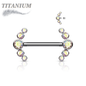 Titanium Nipple 5 CZ Curve Ends Internal Threaded Barbell