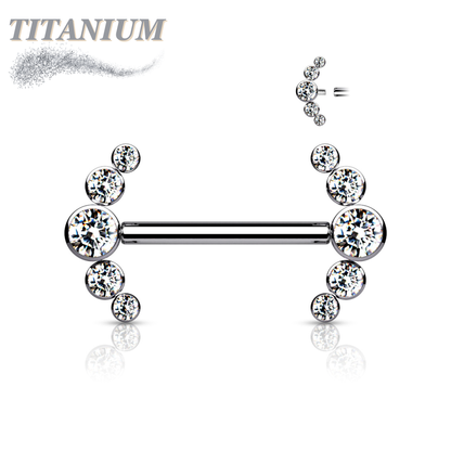Titanium Nipple 5 CZ Curve Ends Internal Threaded Barbell
