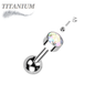 Titanium Internally Threaded Cartilage Barbell with Premium Round Bezel Set CZ