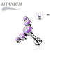 Titanium Threadless 5 Opal Curve Labret Combo