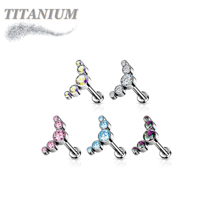 Titanium Threadless 5 CZ Bezel Curve Labret Combo