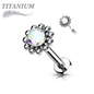 Titanium Threadless Labret Combo w/ CZ Centre Flower Surrounded by Micro Balls