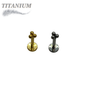 Titanium Threadless Pushpin Triangular 3 Ball Cluster Labret Combo - 4mm base