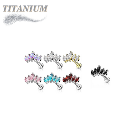 Titanium Threadless Labret Combo w/ 5 Marquise CZ Set Curve Design