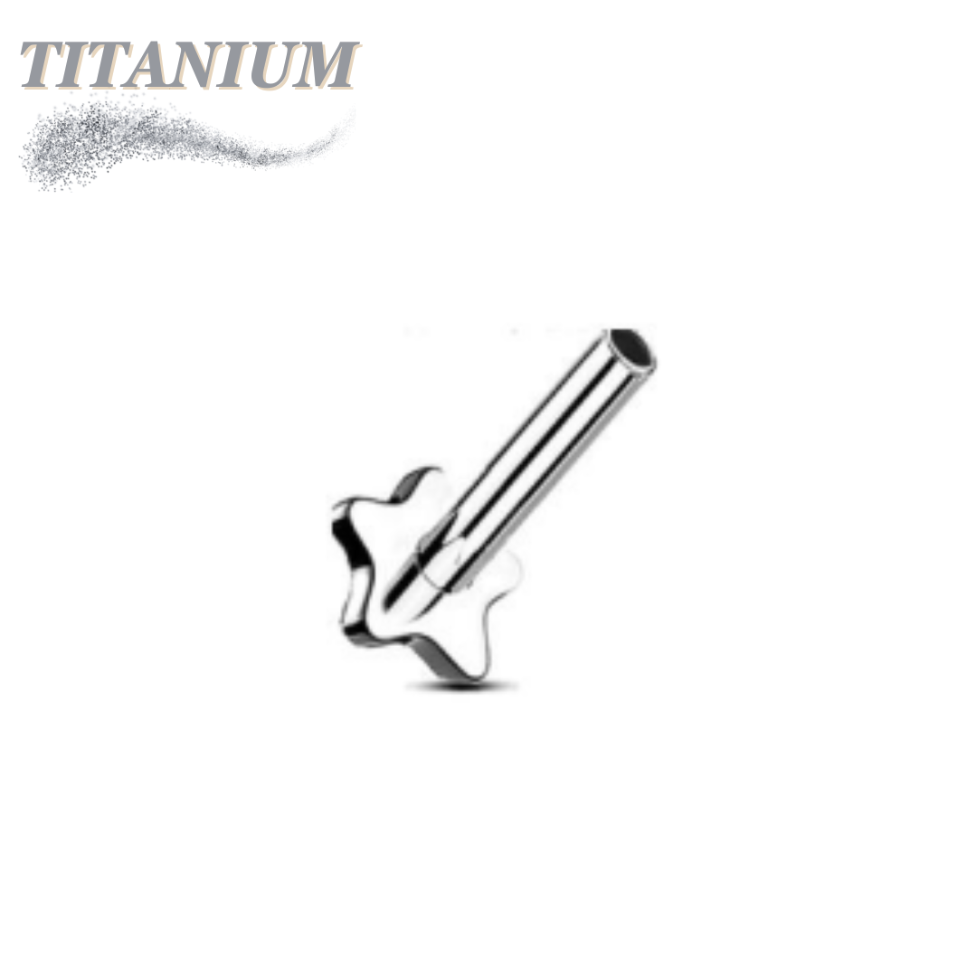 Titanium Threadless Star Flat Back Labret (Post Only)