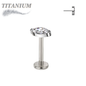 Titanium Threadless Single Marquise CZ or Opal Labret Combo
