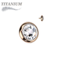 Titanium Internally Threaded Bezel Set Flat Gem (Top Only)