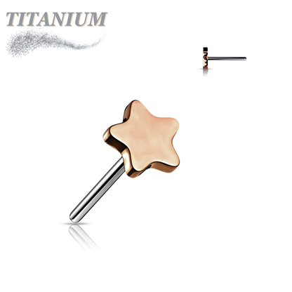 Titanium Threadless 4mm Star (Top Only)